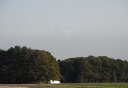 大澤邸富士山