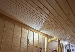 IMG_4899